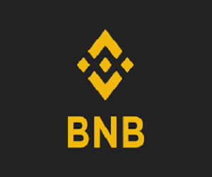 BNB-Transfer